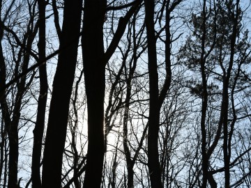 Czyszczenie budek lęgowych na terenie Parku Krajobrazowego Wzniesień Łódzkich, 